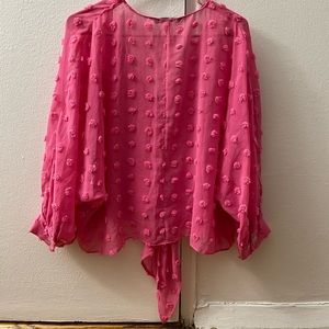 Pink Zara Top.